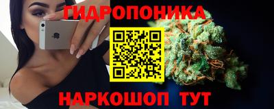 а пвп мука Кингисепп
