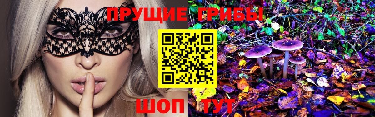 Псилоцибиновые грибы Magic Shrooms  Вход с VPN  Краснознаменск 