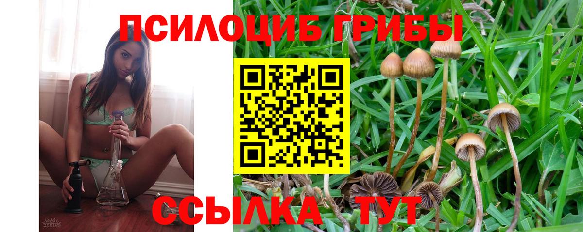 Псилоцибиновые грибы GOLDEN TEACHER Краснознаменск